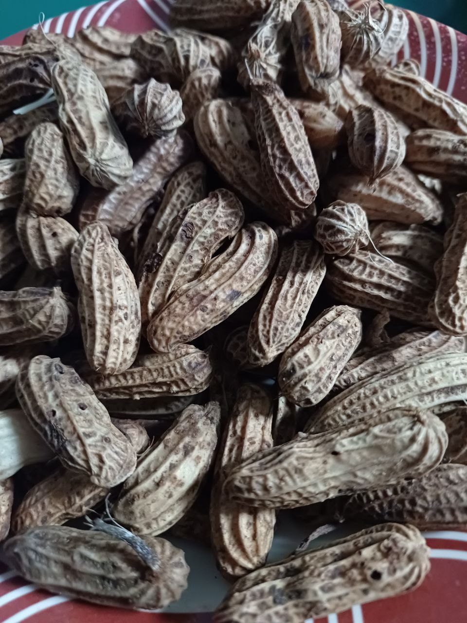 Brown Nuts in a Bowl